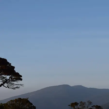 Beraliya * Nuwara Eliya