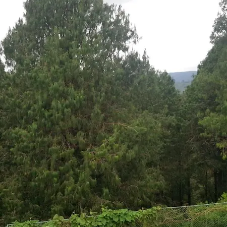 Lodge Jungle Front Bungalow Nuwaraeliya *