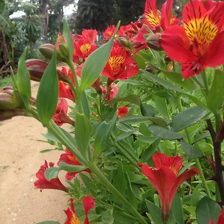 Homestay The Galways Edge *