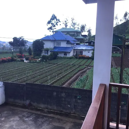 Fairlight Guest house