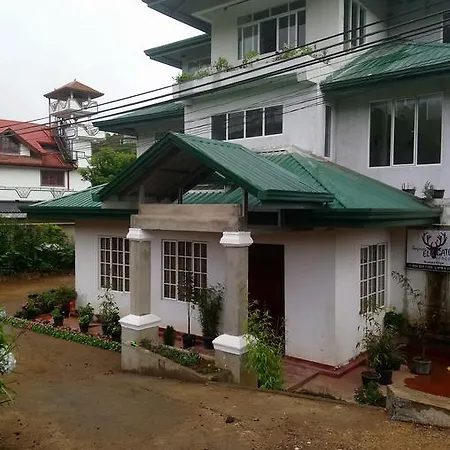 Homestay Golden Wings