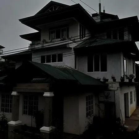 Homestay Golden Wings *