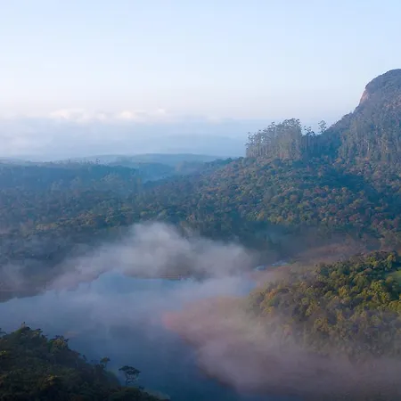 The Forest And By Schofieldshire Villa Nuwara Eliya