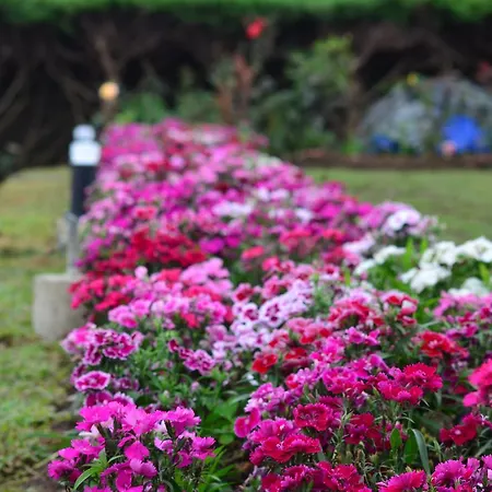 Ripon Grand Hill By Ehi Nuwara Eliya
