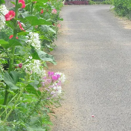 Ellitte Garden * Nuwara Eliya