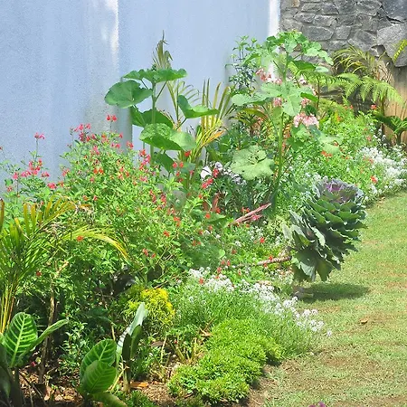 Ellitte Garden *