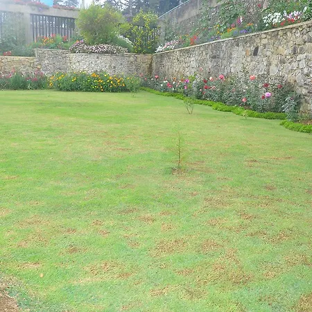 Hotel Ellitte Garden *