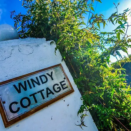 Windy * Nuwara Eliya