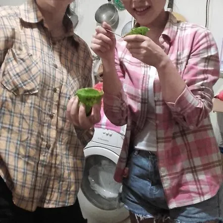 Shan Guest house *