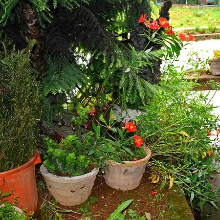Guest house Bloomfield Nuwara Eliya
