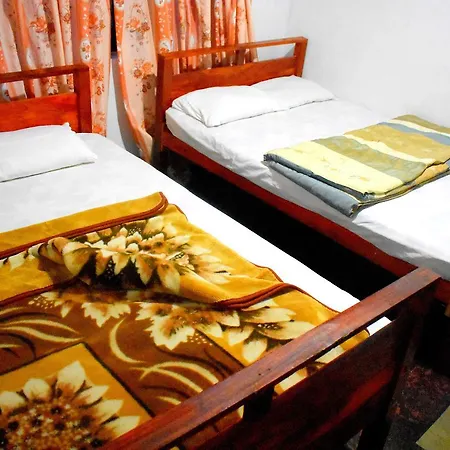 Guest house Bloomfield