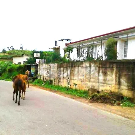 Homestay Blackpool 55 Nuwara Eliya
