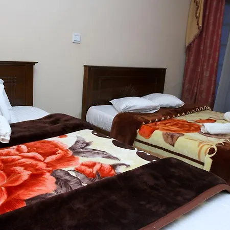 Sydney Rest