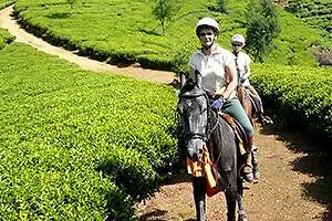 Hotel Haddon Hill Nuwara Eliya