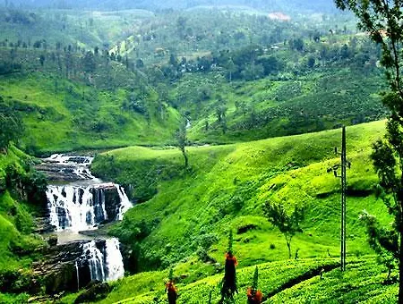 Haddon Hill Nuwara Eliya