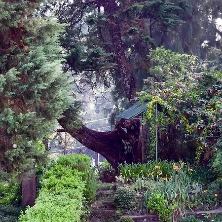 Mount Mary Inn Nuwara Eliya