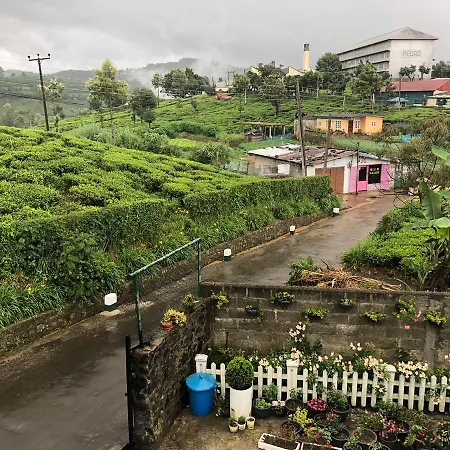 Pedro View