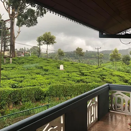 Pedro View Nuwara Eliya
