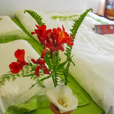 Mountain Stream Courtyard Homestay *