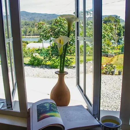 Mountain Stream Courtyard Homestay *