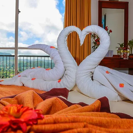Hotel Oak Ray Summer Hill Breeze 3*