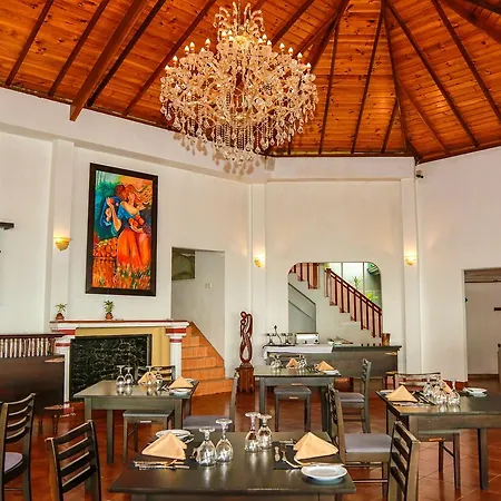 Oak Ray Summer Hill Breeze Nuwara Eliya