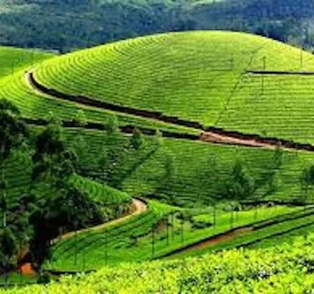 The Hillside Flat Nuwara Eliya
