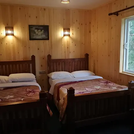Guest house New Tour *