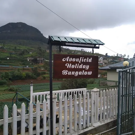 Avon Field Homestay *