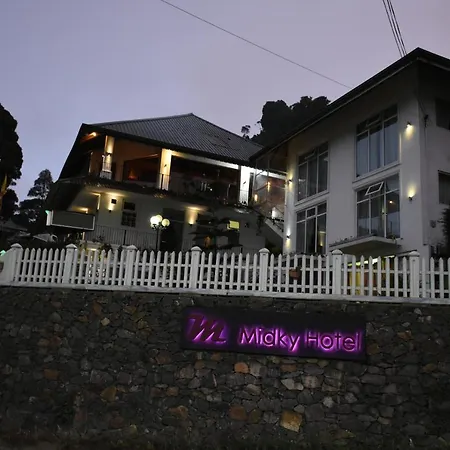 Hotel Midky 3*