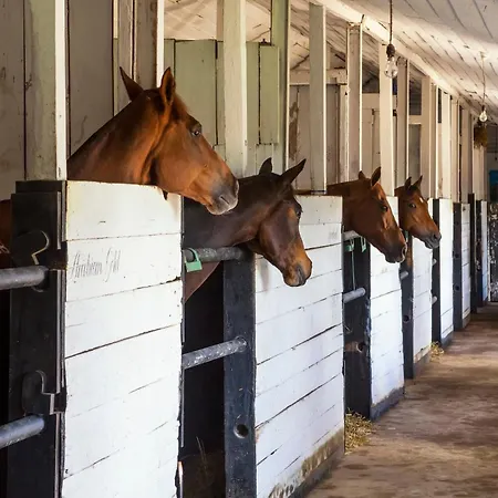 Villa Hill Rise Luxury & Stables By Edwards Collection - *
