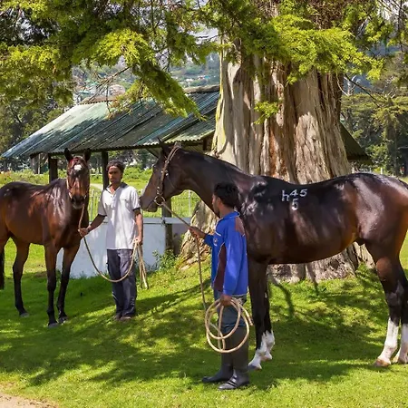 Villa Hill Rise Luxury & Stables By Edwards Collection -