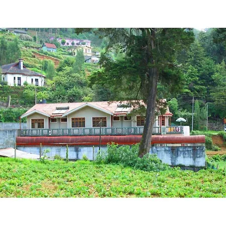 Vista Royal Guest 3*