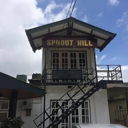 Sprout Hill
