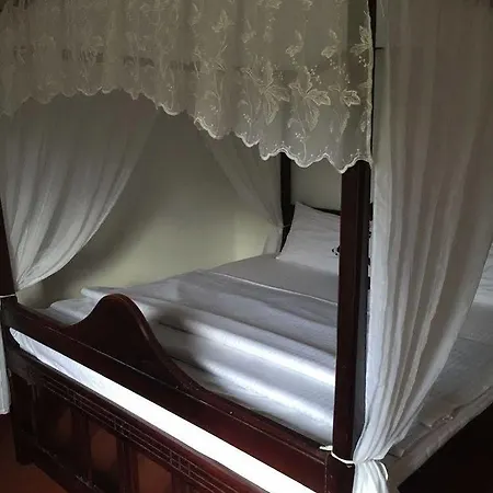 Stone Nuwara Eliya