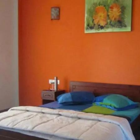 Standard Double - Vishmis Rest Resort 3*