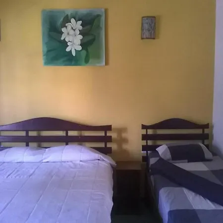 Resort Standard Double - Vishmis Rest