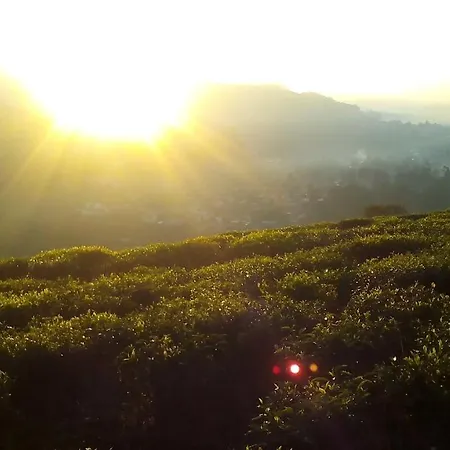Tea Garden Holiday home Nuwara Eliya