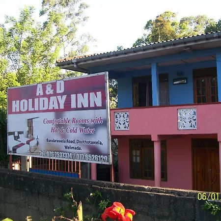 A & D Holiday *