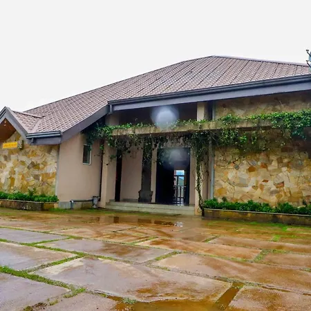 Acacia Nuwara Eliya