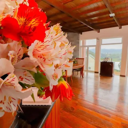 Acacia Guest house 3*