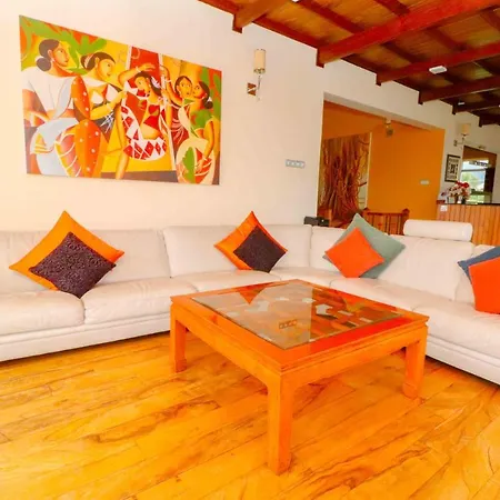 Acacia Guest house