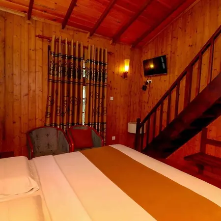 Hotel Alpine 3*