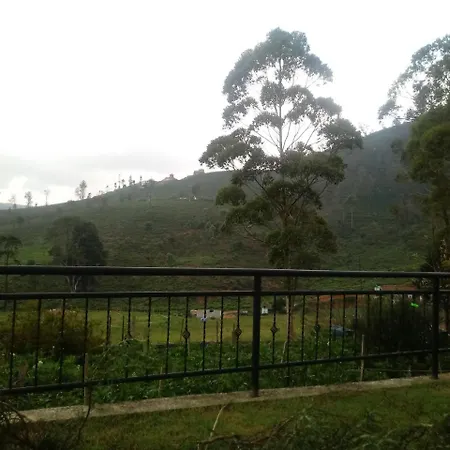 Salsburry Holiday *
