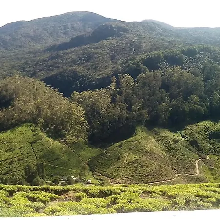 Tea Garden Holiday home *
