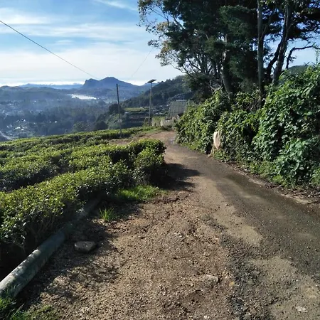Tea Garden Holiday home