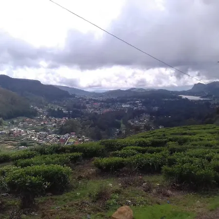 Tea Garden * Nuwara Eliya