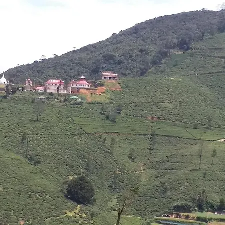 Guest house Royal Forest *