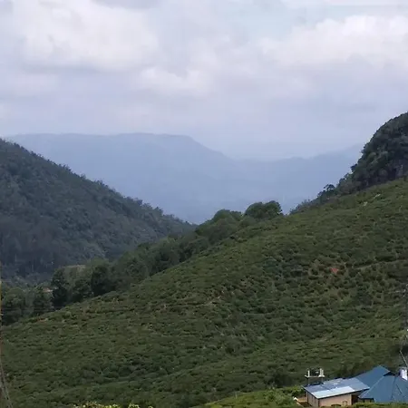 Royal Forest Guest house
