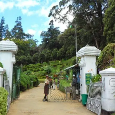 Shinic Nuwara Eliya